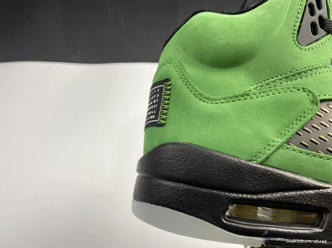 Rep Ducks CK6631-307 Oregon Jordan 5 SE Air 0731